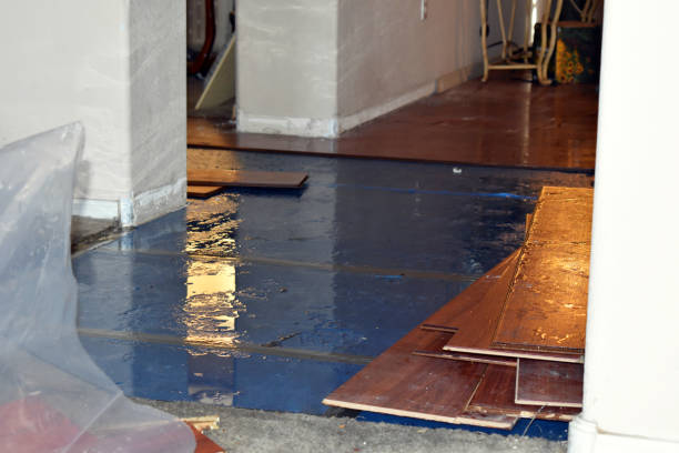 Professional Flood Cleanup technician working in Denmark, WI
