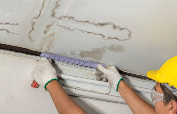 Reliable Flood Cleanup contractor in Denmark, WI by Water Damage Irwin
